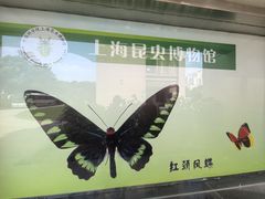 -上海昆虫博物馆