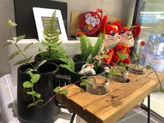 -ZING COFFEE 镜咖啡