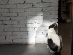 -颐玖 咖啡|甜品
