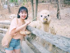 -清迈夜间动物园