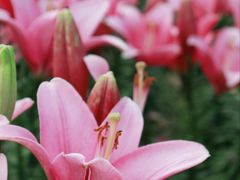 -长春公园(普阳街道)