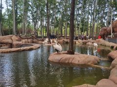 -北京野生动物园