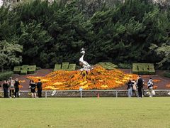 -中山公园