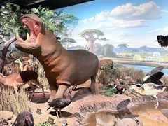 -陕西自然博物馆