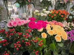 -FEI FEI FLOWER鲜花店·气球派对·宝宝宴布置(虹口德必运动Loft店)