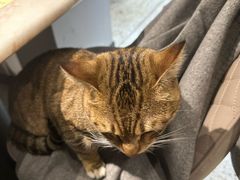 -丁字口海鲜热炒·烧烤大排档