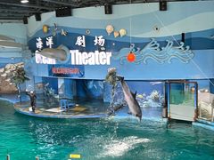 -苏州海洋馆