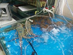 -鲤鱼门海鲜街