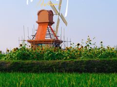 -杭州湾海上花田景区