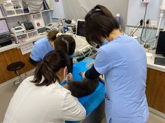 -纳吉亚猫专科动物诊疗中心(蒋宅口分院)