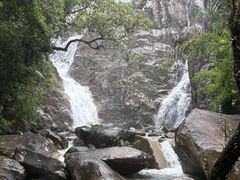 -海南霸王岭国家森林公园