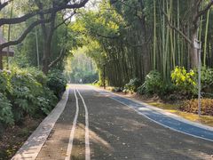 -苏州河梦清园环保主题公园