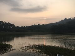 -福建鲤鱼洲酒店