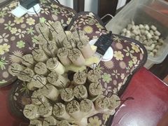 -固生堂中医连锁·推拿正骨·针灸艾灸(崇安寺分院)