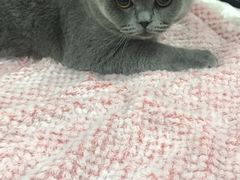 -达爱动物医院·犬猫分区·CT·复杂眼科(远洋山水分院)