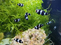 -沈阳海洋探索中心