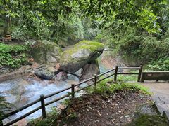 -西岭雪山大飞水景区