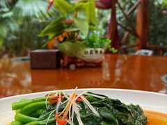 -东方华地城湿地温泉度假区