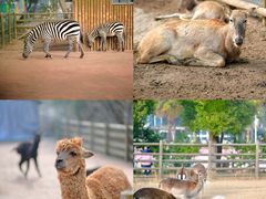 -苏州太湖西山岛开心农场