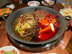 菌汤辣锅鸳鸯锅-胖姐社区老火锅(北京总店)