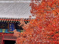 -香山公园