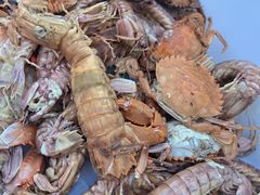 -兴城海滨风景区