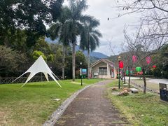 -广州市流溪河国家森林公园