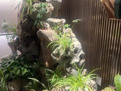 -金汤宴餐厅·粤菜(德云社店)