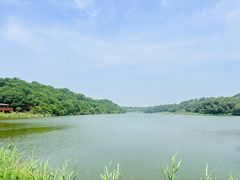 -大青沟风景区