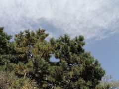 -北京十三陵国家森林公园蟒山景区