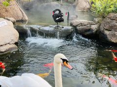 -罗红摄影艺术馆