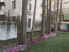 -一尺花园(安和花园店)