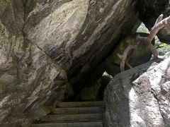 -牛背梁国家森林公园