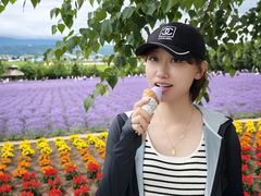 -富田农场
