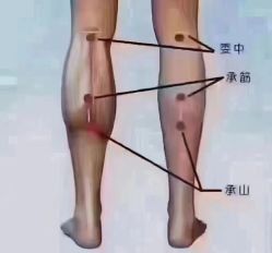 -香薇妮丝女子减肥院