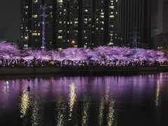 -西北湖绿化广场