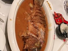 -阿五黄河大鲤鱼(海尚店)