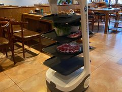 -杨家火锅(国美店)