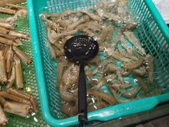 -丰卓会海鲜自助(中润大道店)