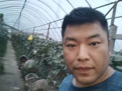 -马陆小张葡萄园农家乐