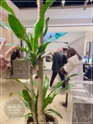 点击看大图 -Mentor Hair Salon