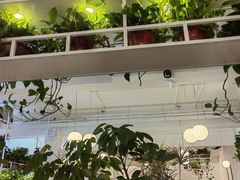-岳姥姥饺子(泺文路店)