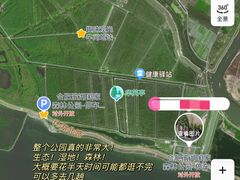 -合肥滨湖国家森林公园