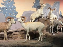 -陕西自然博物馆