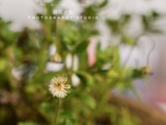 -二酉书店TOYOU BOOKS