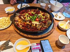 -老板恋上鱼(恒隆广场店)