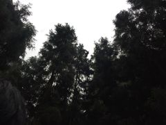 -武隆天坑地缝国家地质公园