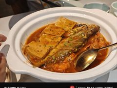 鲜鱼一锅出-船歌·鱼水饺青岛菜(枫蓝国际购物中心店)