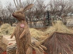 -北京西山国家森林公园