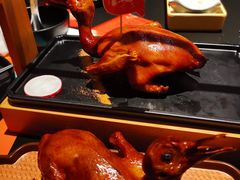 -羽鸽集·乳鸽专门店·地道顺德菜(岭南站店)